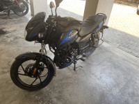 Bajaj Pulsar 125 2024 Model
