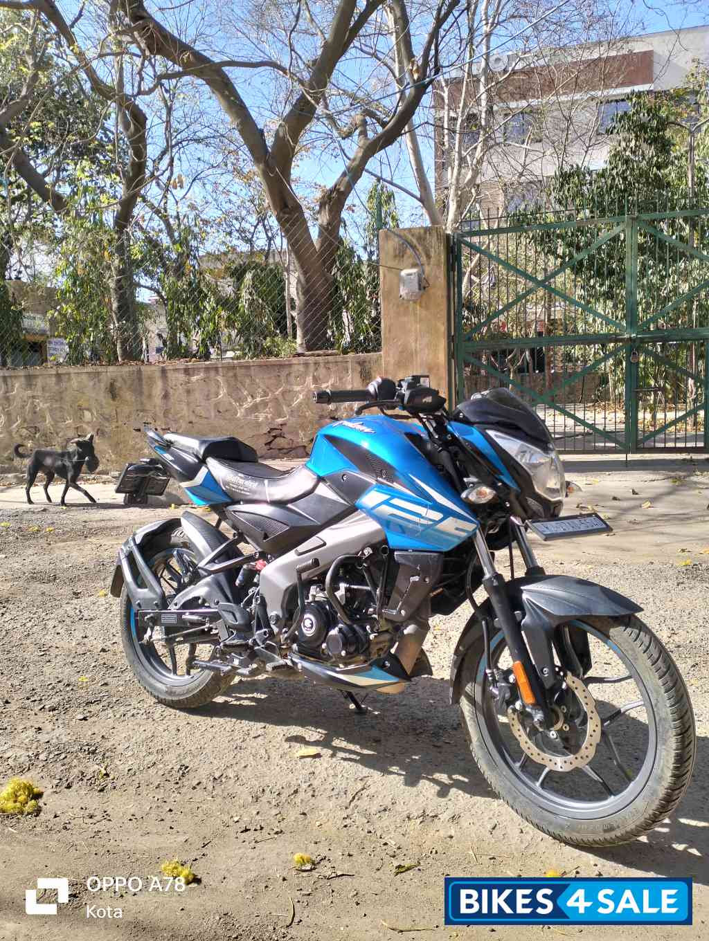 Blue Bajaj Pulsar NS 125