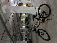 Bicycle Hercules 2022 Model