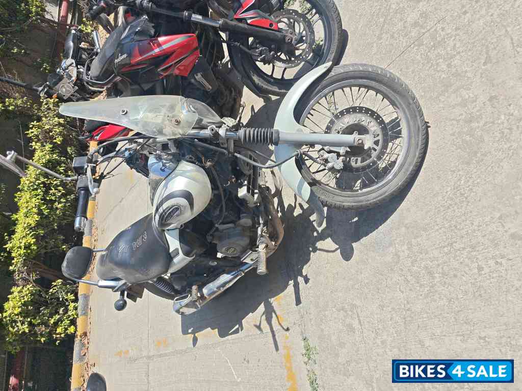 Moon White Bajaj Avenger Cruise 220