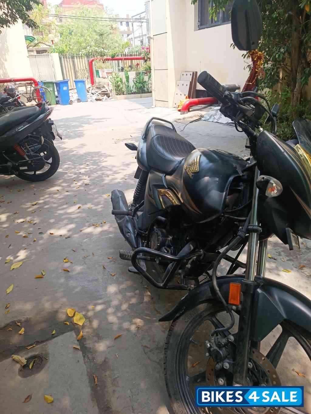 Honda Shine Celebration Edition