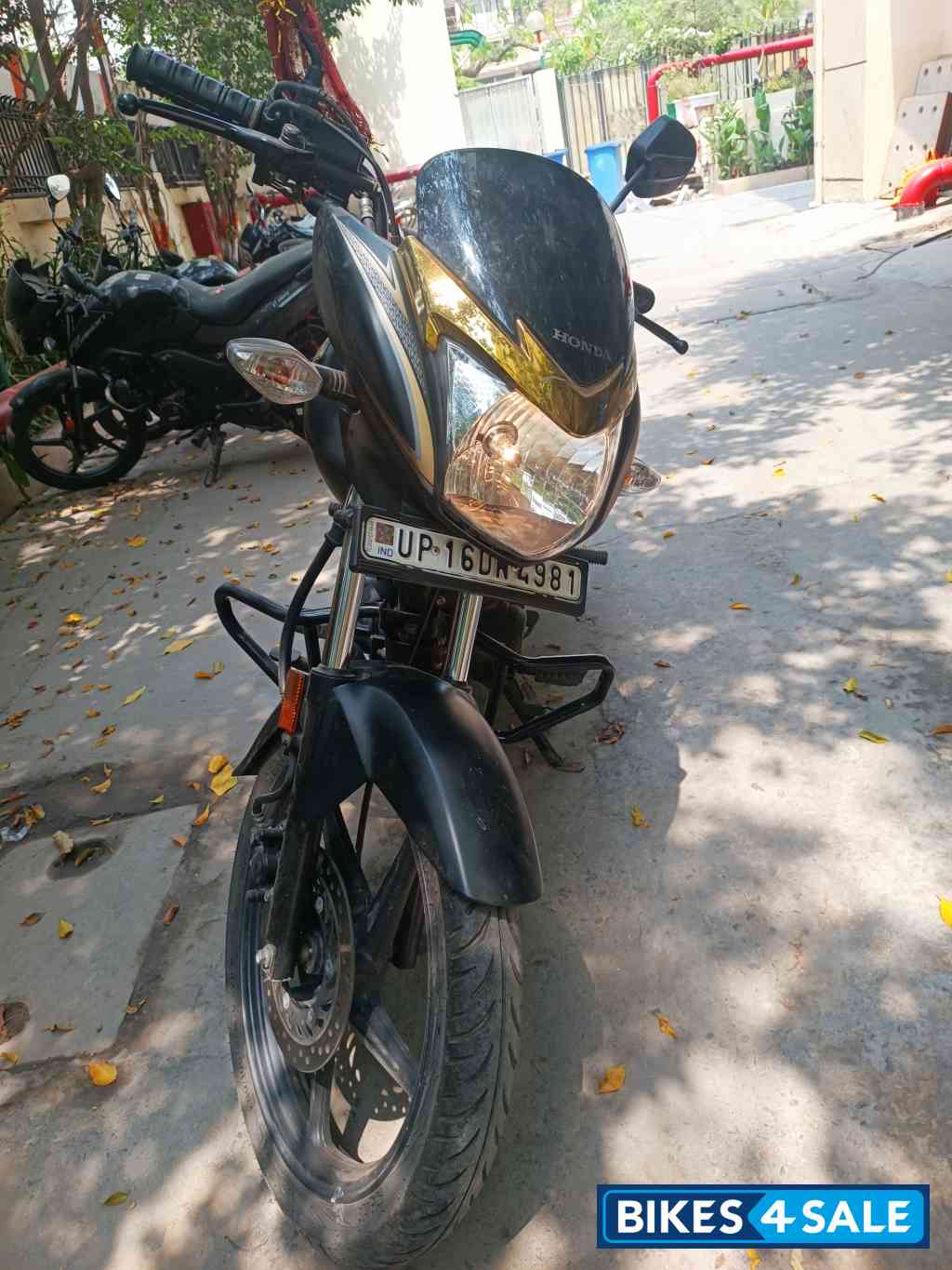 Honda Shine Celebration Edition