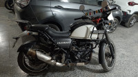 Snow White Royal Enfield Himalayan