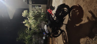 Bajaj Pulsar NS200