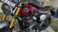 Triumph Scrambler 400 X