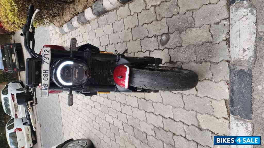 Red Benelli Leoncino 250