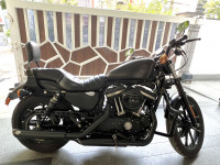 Harley Davidson Iron 883
