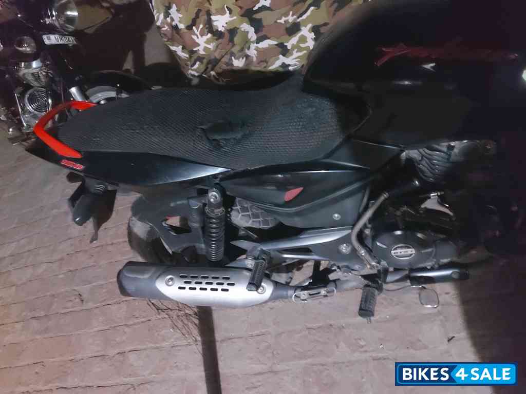 Black Red Bajaj Pulsar 150 Classic