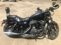Black Denim Harley Davidson Iron 883