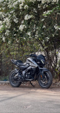 Bajaj Pulsar NS125 2025 2024 Model