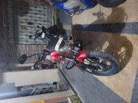 Cock Tak Wine Red Bajaj V15