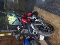 Cock Tak Wine Red Bajaj V15