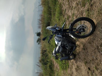 Yezdi Adventure Gloss