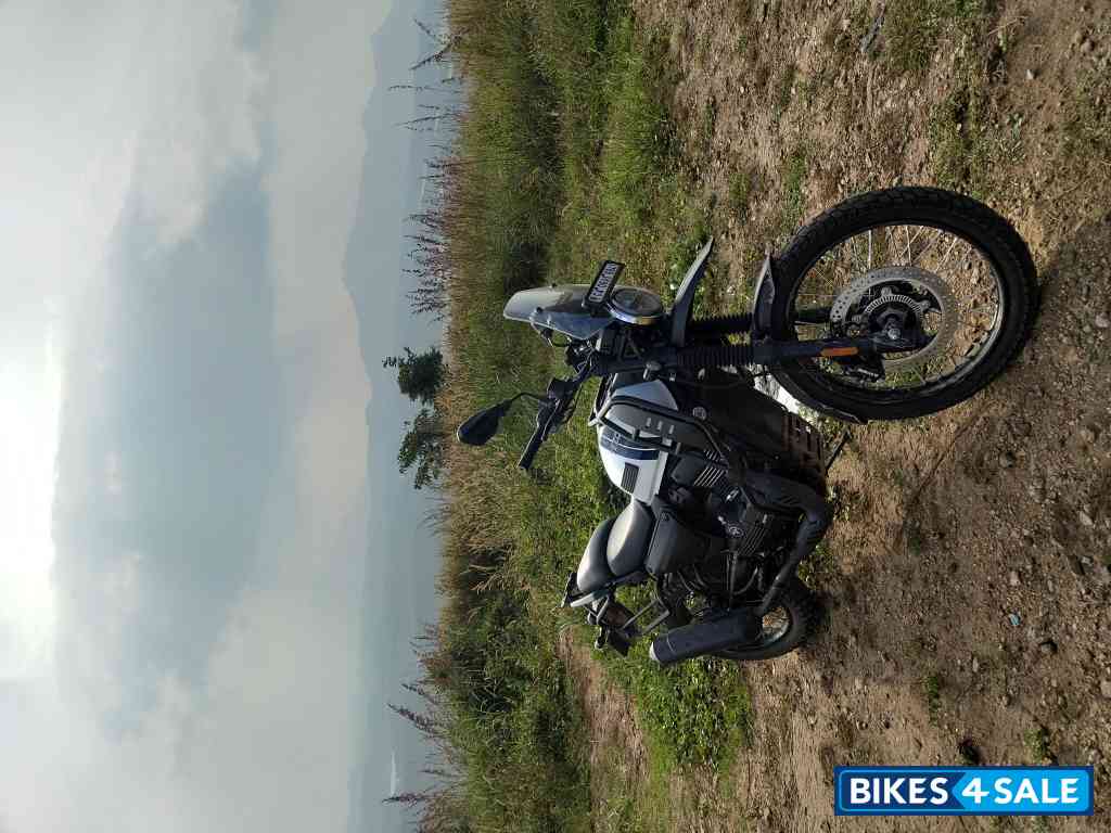 Yezdi Adventure Gloss