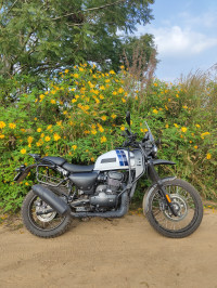 Yezdi Adventure Gloss