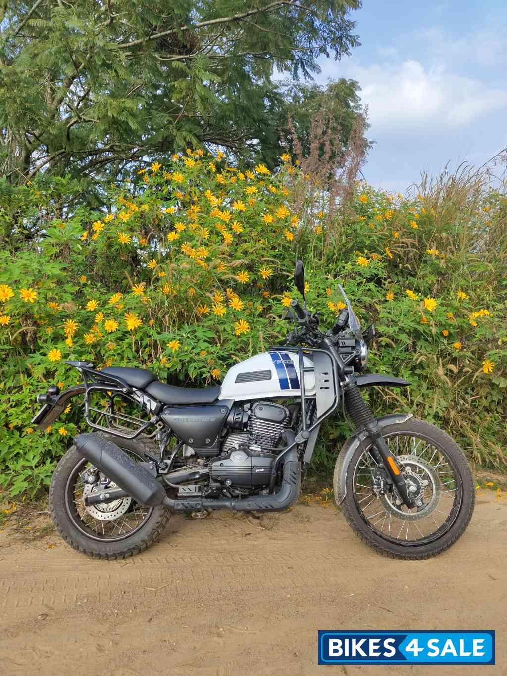 Yezdi Adventure Gloss