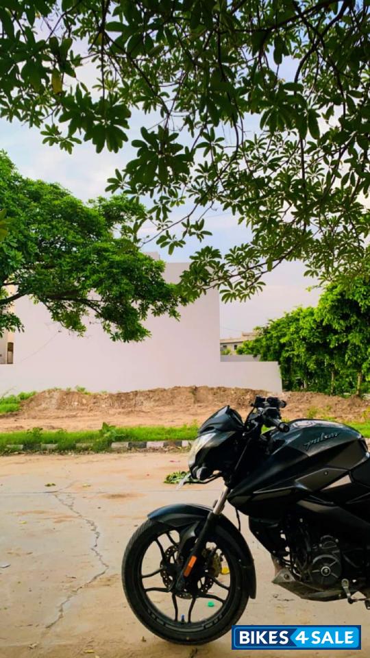 Black Bajaj Pulsar NS 160 BS6