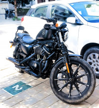 Rock Gray Denim Harley Davidson Iron 883