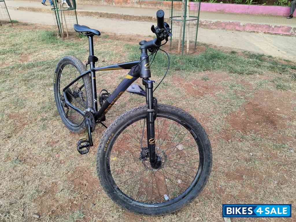 Black-golden Bicycle FitTrip