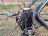 Black-golden Bicycle FitTrip