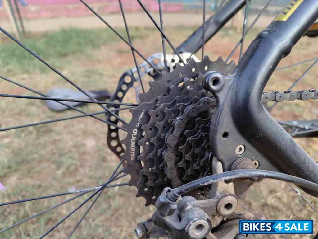 Black-golden Bicycle FitTrip