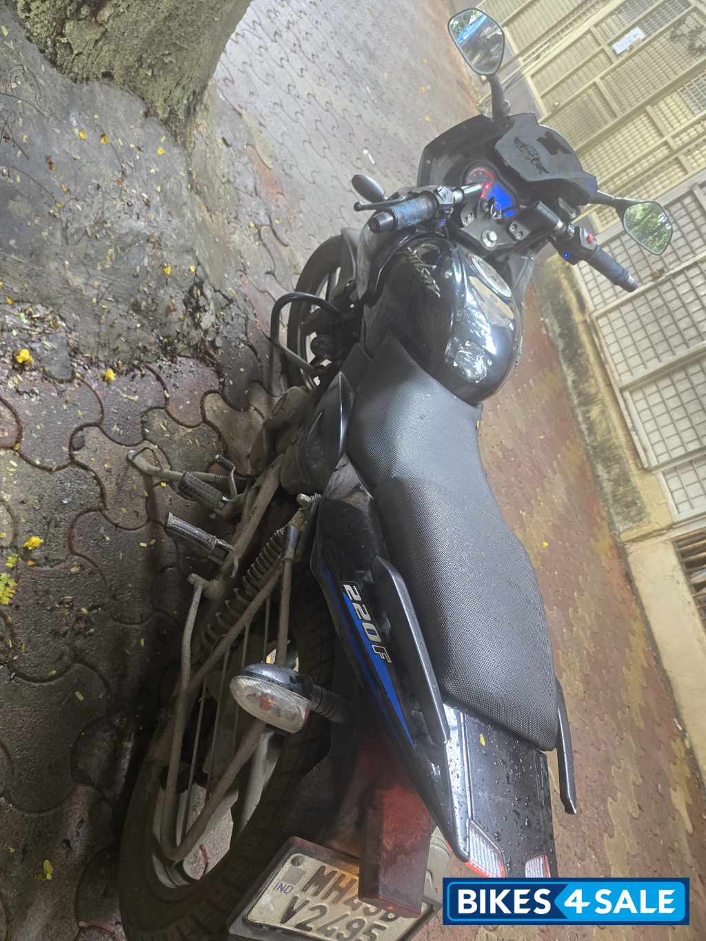 Black Blue Bajaj Pulsar 220F BS6