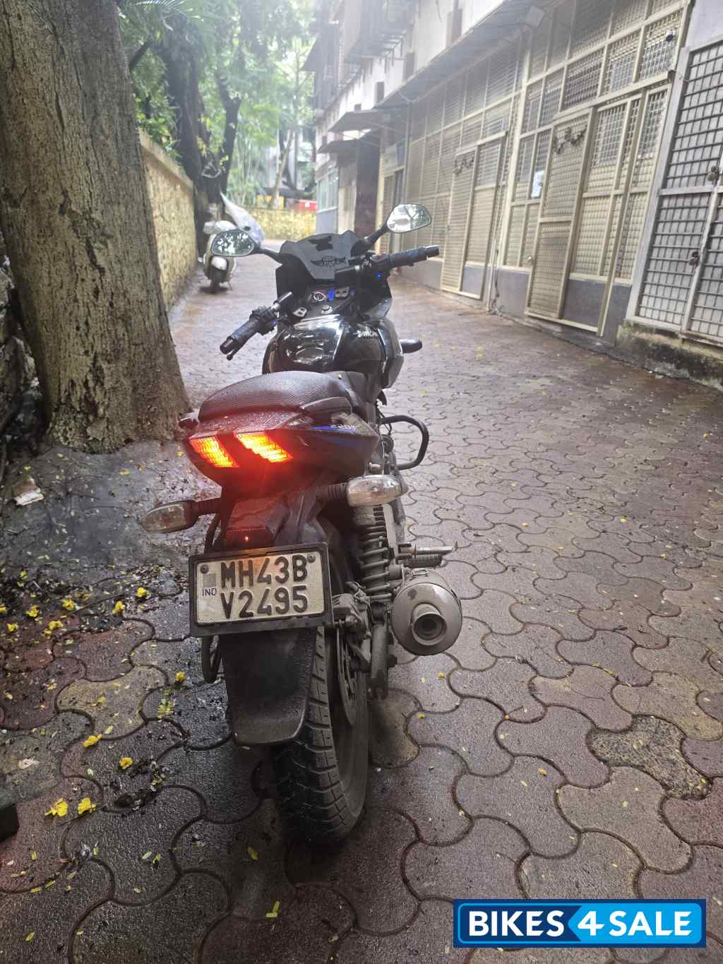 Black Blue Bajaj Pulsar 220F BS6