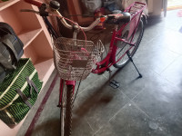 Bicycle  Ladybird 2023 Model