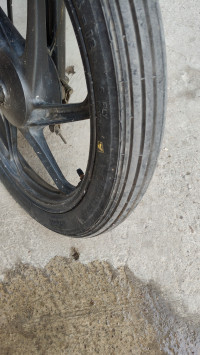 Honda Shine 125 Drum