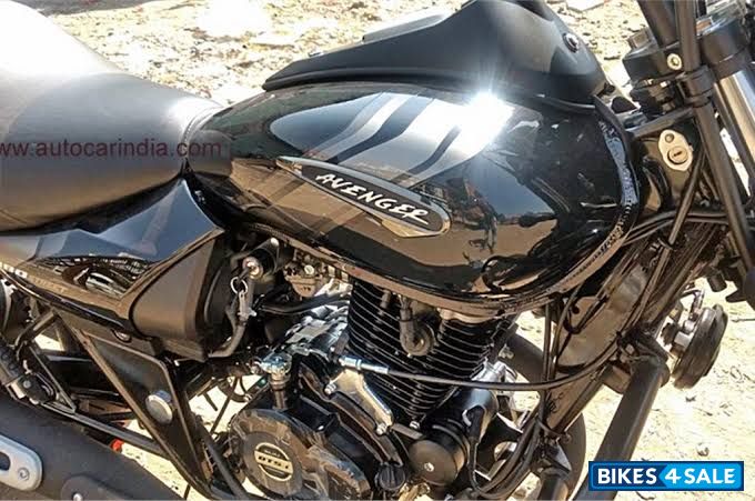 Ebony Black Met Bajaj Avenger Street 160 BS6