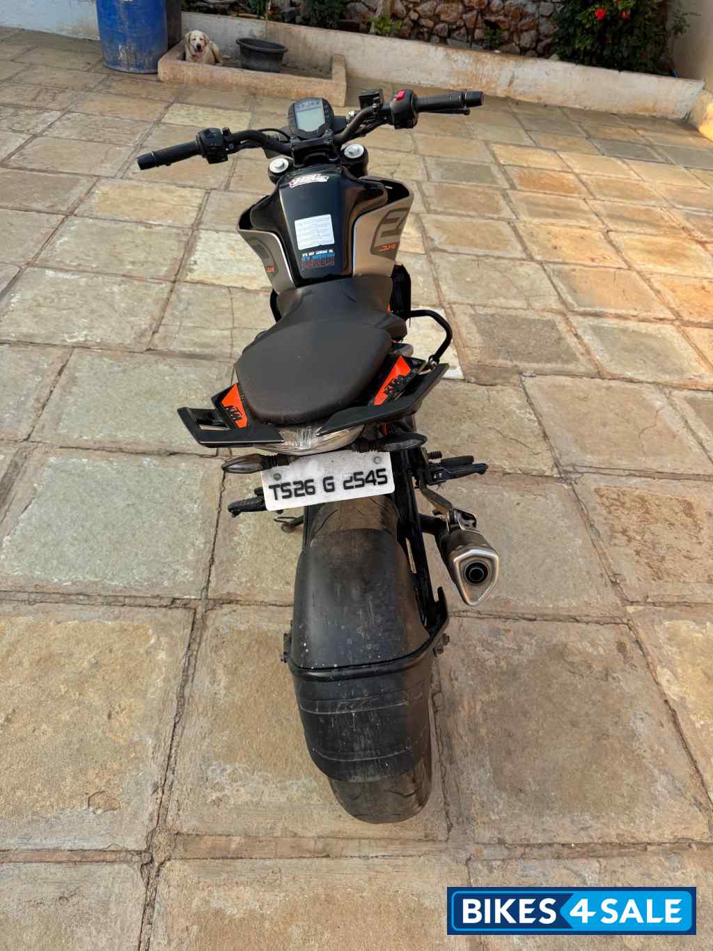 KTM Duke 250 2022