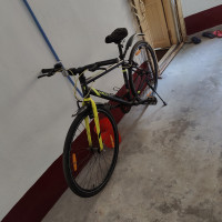 Mach City Munich Single Speed 2022 Model