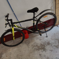 Mach City Munich Single Speed