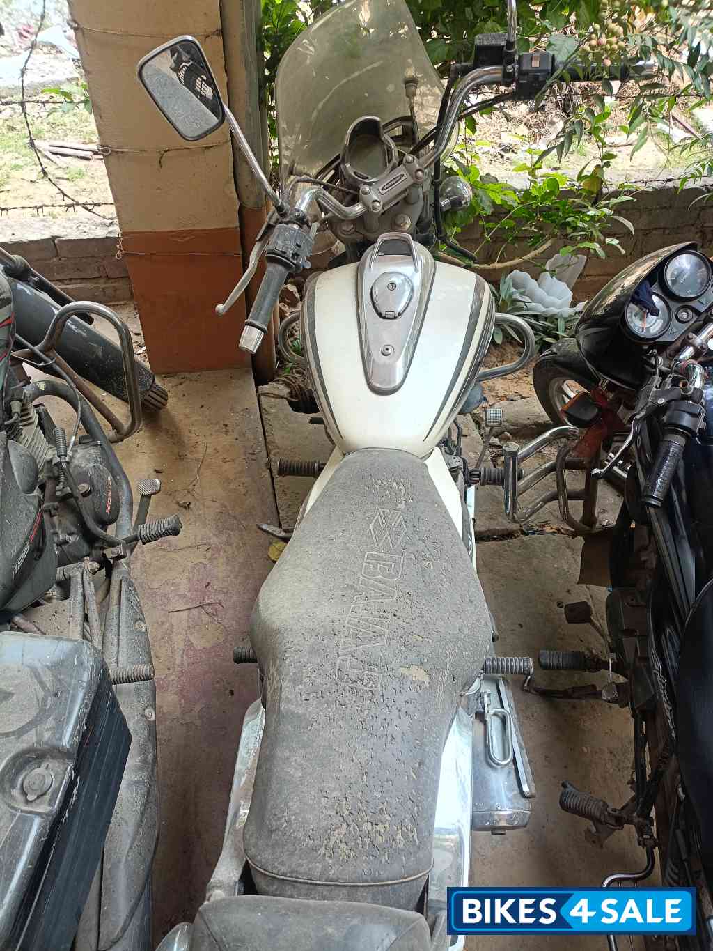 Bajaj Avenger Street 220 BS6