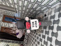 Black Royal Enfield Bullet 350