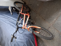 Bicycle  Fantom 2018 Model