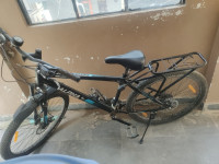 Ninety One 2024 Model