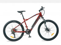 Bicycle  Voltrix 2023 Model