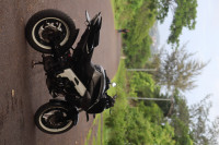 Grey Black Bajaj Pulsar NS 160 BS6