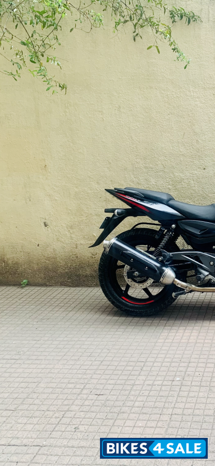 Ebony Red Bajaj Pulsar 220F