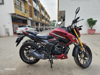 Matte Sangria Red Metallic Honda Hornet 2.0