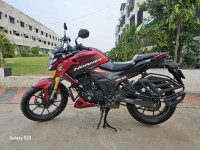 Matte Sangria Red Metallic Honda Hornet 2.0