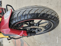 Matte Sangria Red Metallic Honda Hornet 2.0