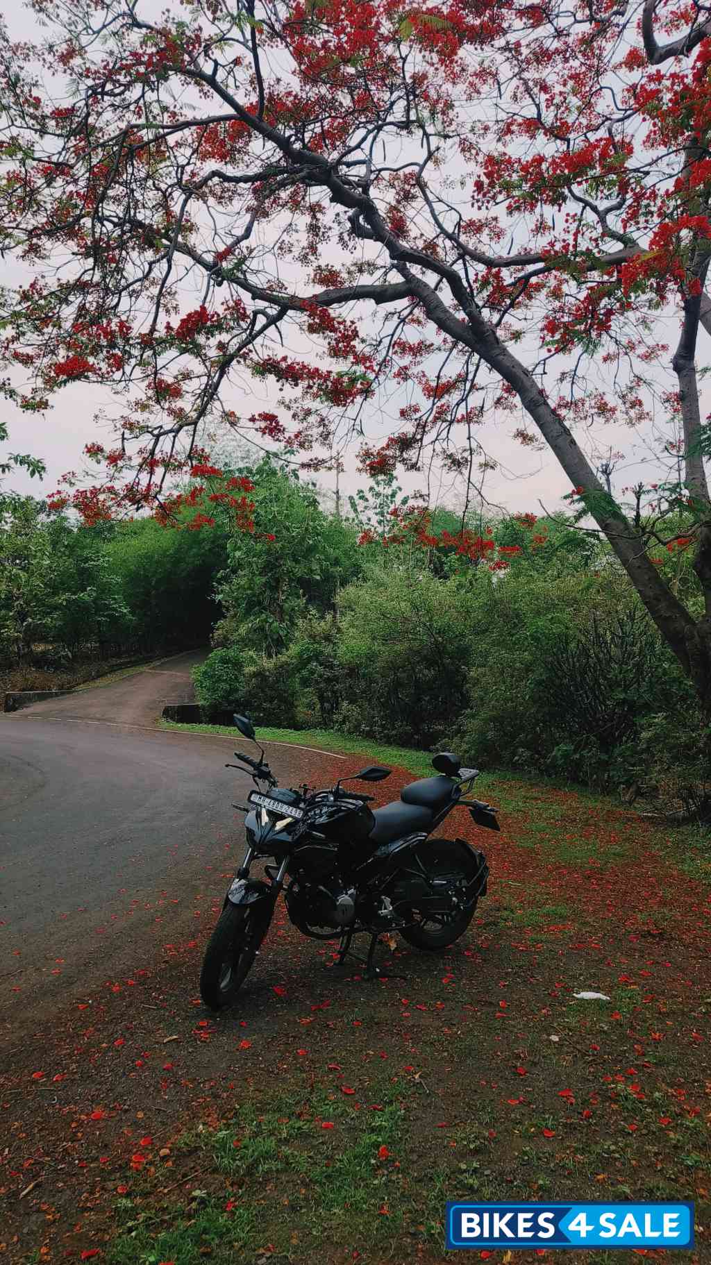 Black Hero Xtreme 125R