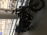 Bajaj Avenger Street 220 2017 Model