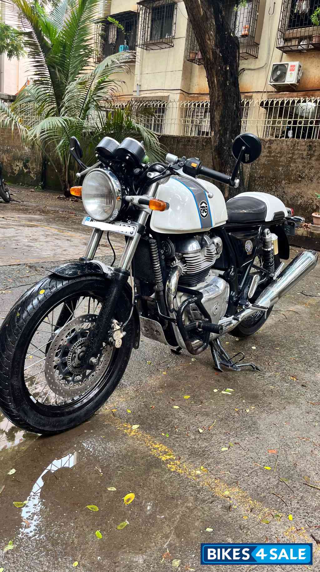 Ice Queen White Royal Enfield Continental GT 650