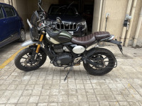 Khakhi Green Triumph Scrambler 400 X