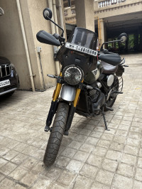 Khakhi Green Triumph Scrambler 400 X