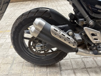 Khakhi Green Triumph Scrambler 400 X