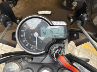 Khakhi Green Triumph Scrambler 400 X